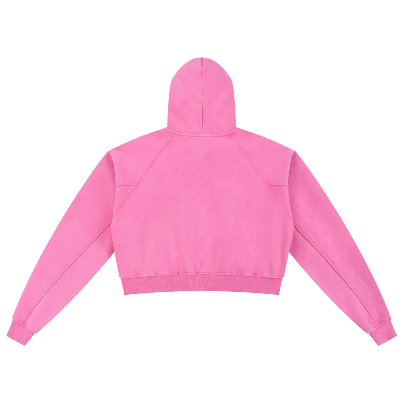 Snow Washed Cropped Hoodie